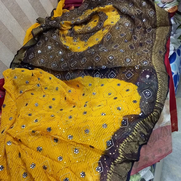 Designer Diwali special saree - Picture 2 of 2